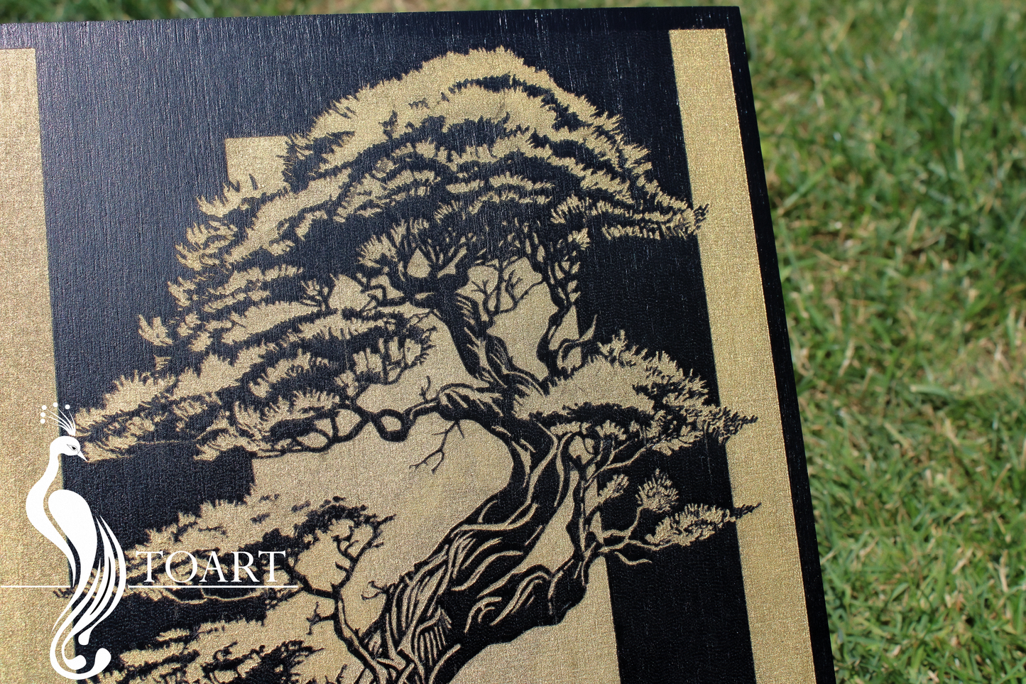 Bonsai tree golden stripes